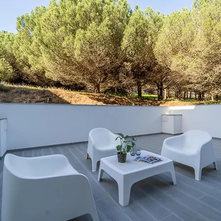 Nascer Do Sol Daire *